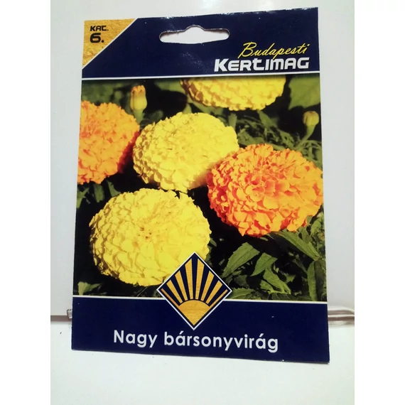 Nagy bársonyvirág